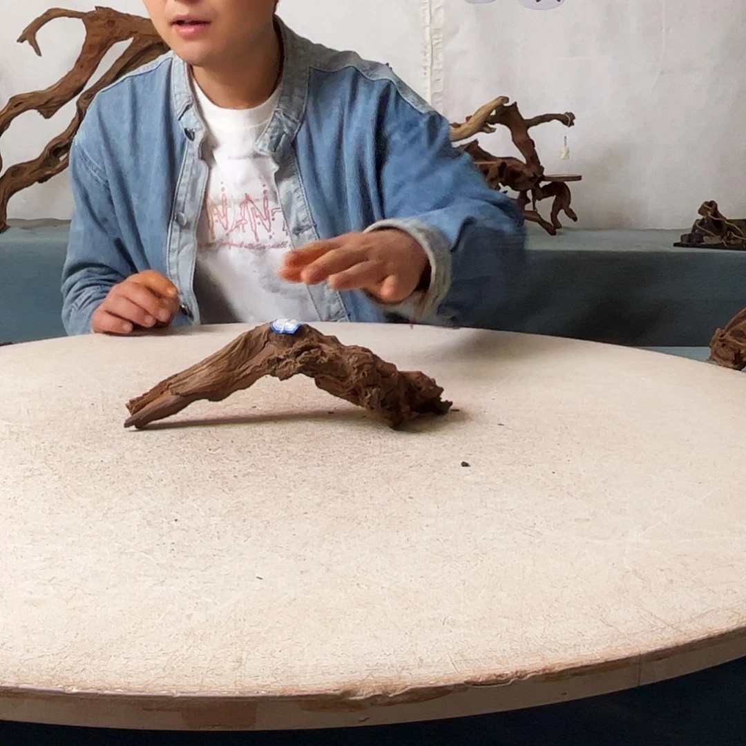 沉木造景爬宠造景