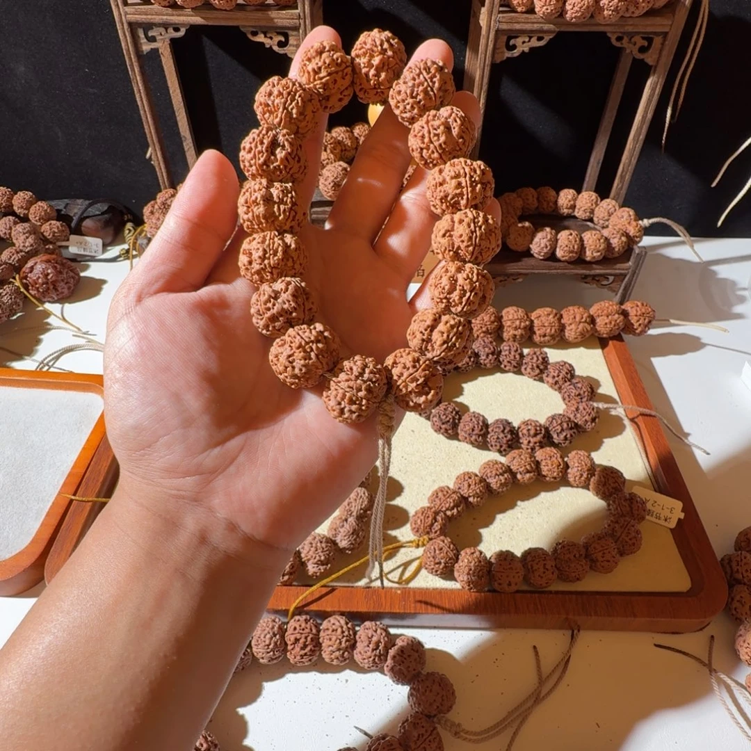 吊坠金刚菩提22尺寸原生态超头