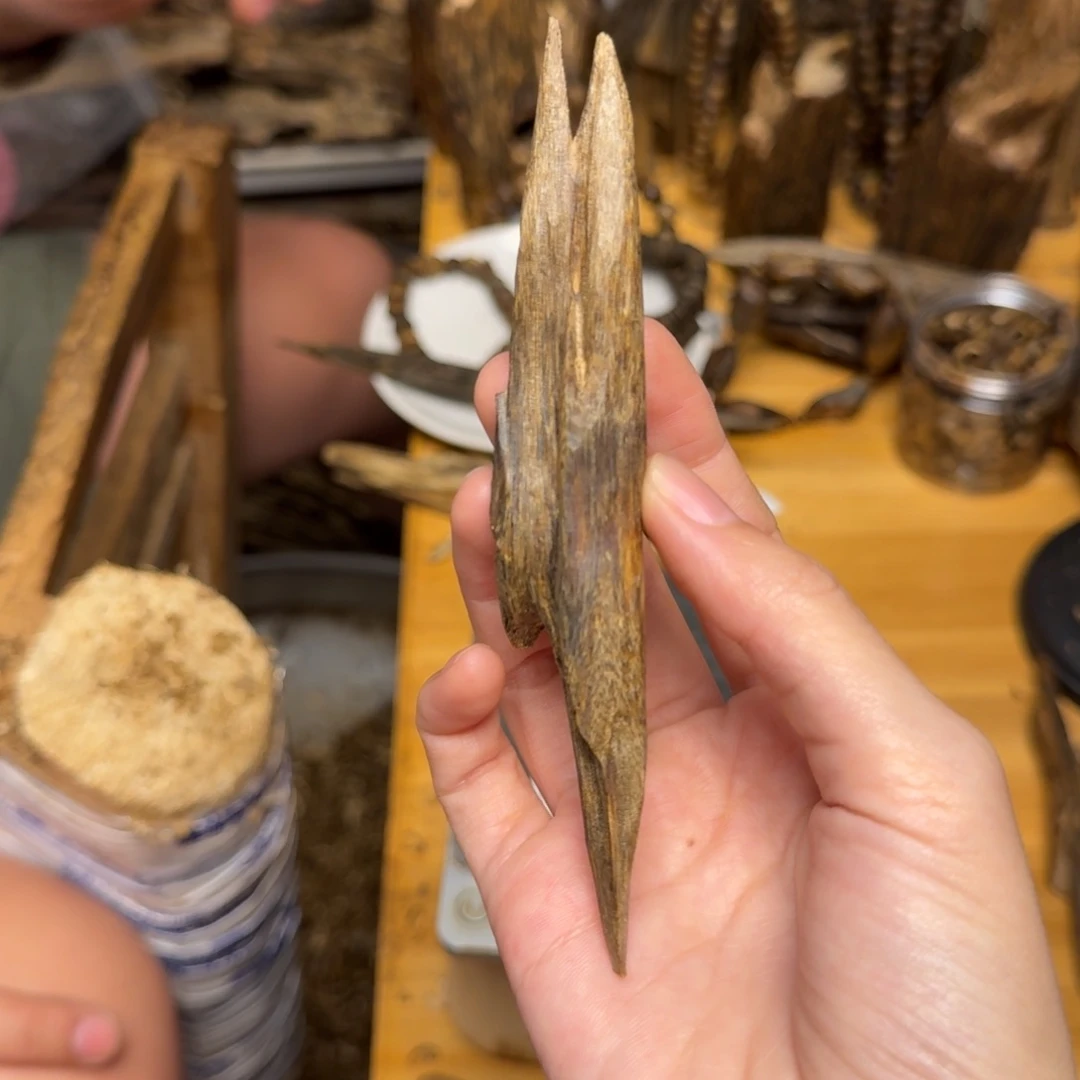 沉香碎屑沉香陆河天然虫漏9克