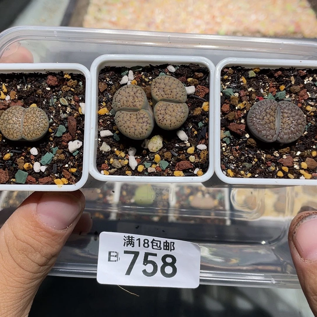 小***光当天凑满十八元包邮758