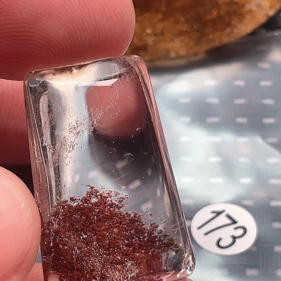 【闪购商品】颈饰未镶嵌水晶冬**呆