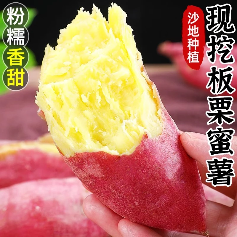 【坏果包赔】陕西板栗红薯新鲜超甜沙地板栗番薯蜜薯地瓜