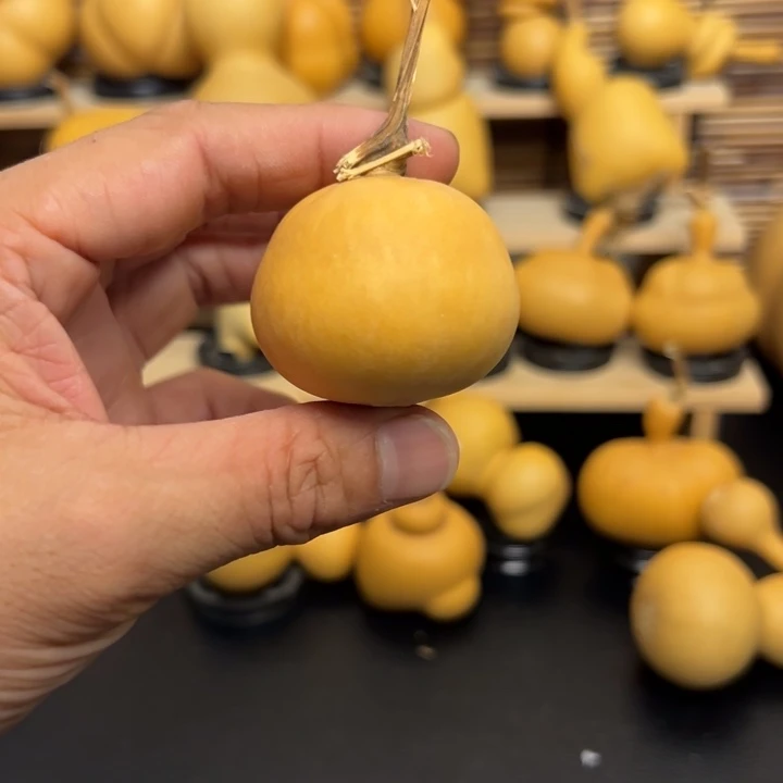 人****^55666666966699999