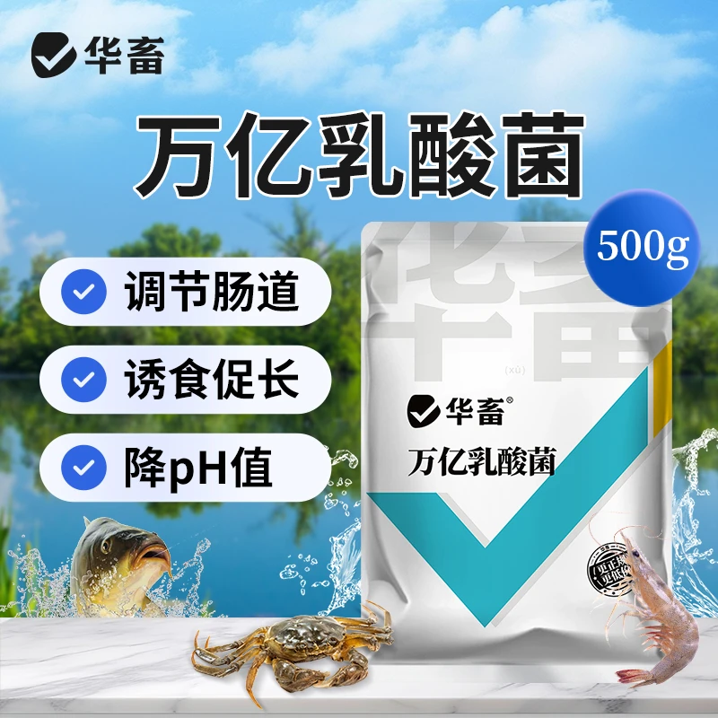万亿乳酸菌降ph诱食促长鱼塘 虾蟹塘专用饲料水产养殖 华畜s