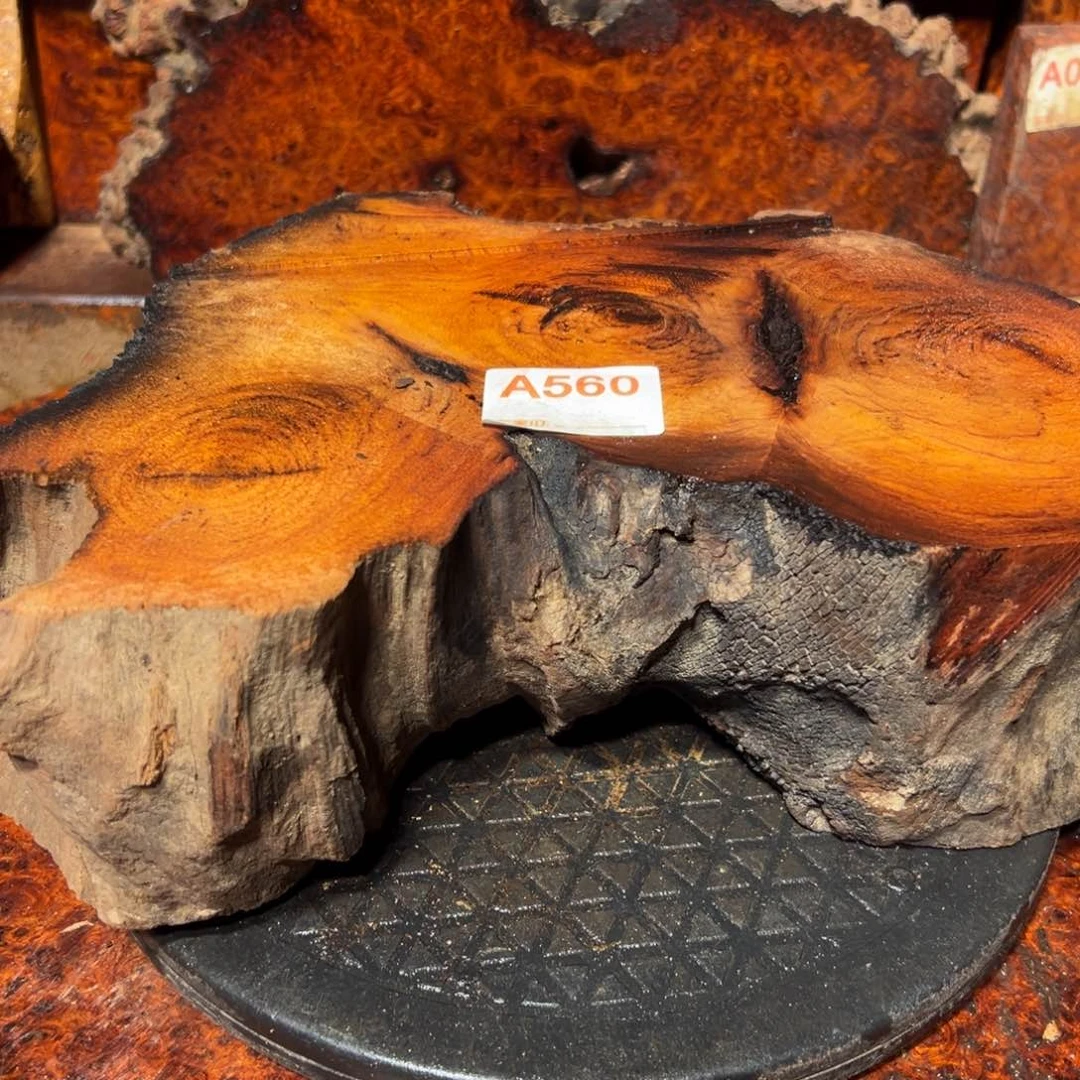 大果紫檀（缅甸花梨）