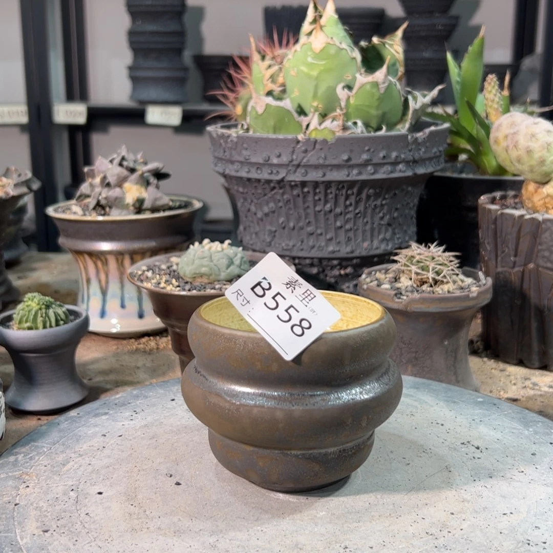 景德镇手工素里内口8高7.5