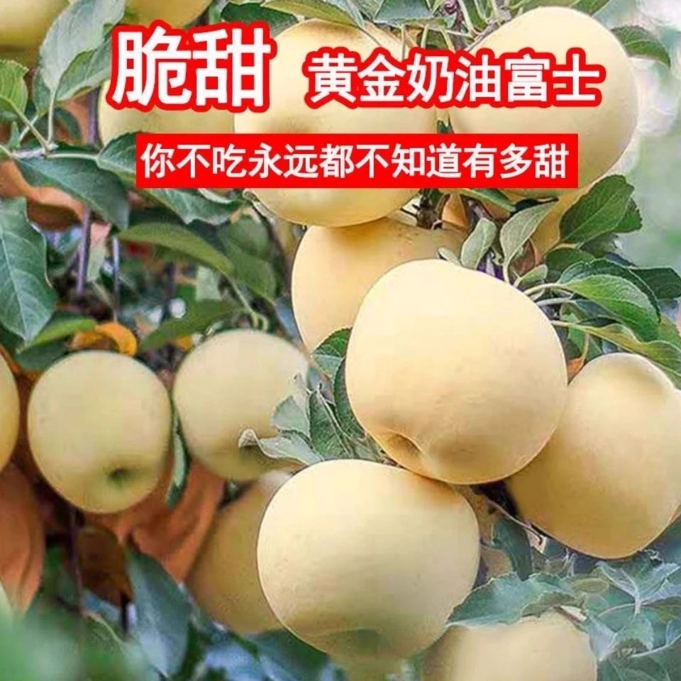 果香浓郁山东烟台黄金奶油富士苹果新鲜水果带箱3斤优质口感佳
