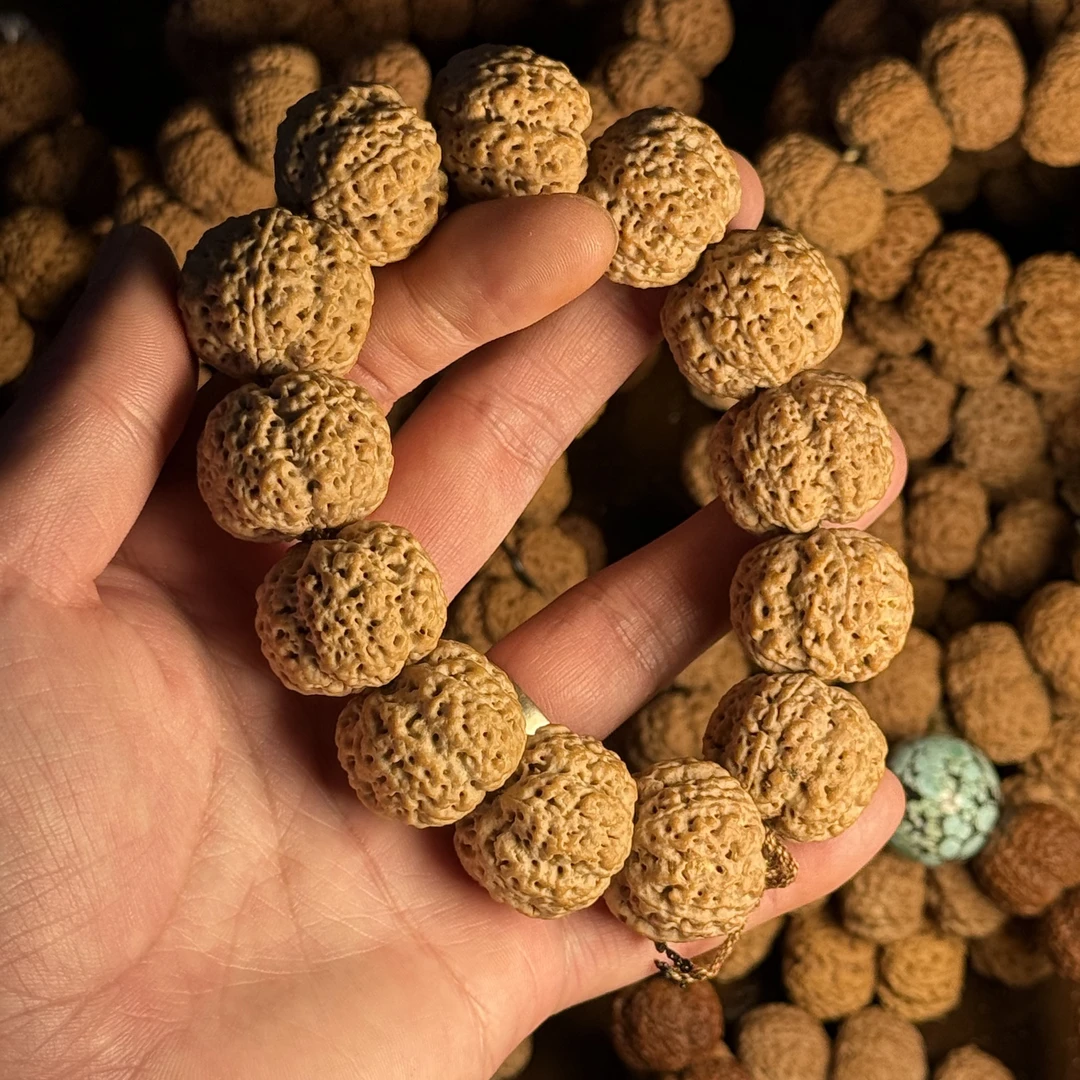 『梁产区顶奢毕业鹊起1号系列』天然矮桩五星蜂王大金刚菩提手串