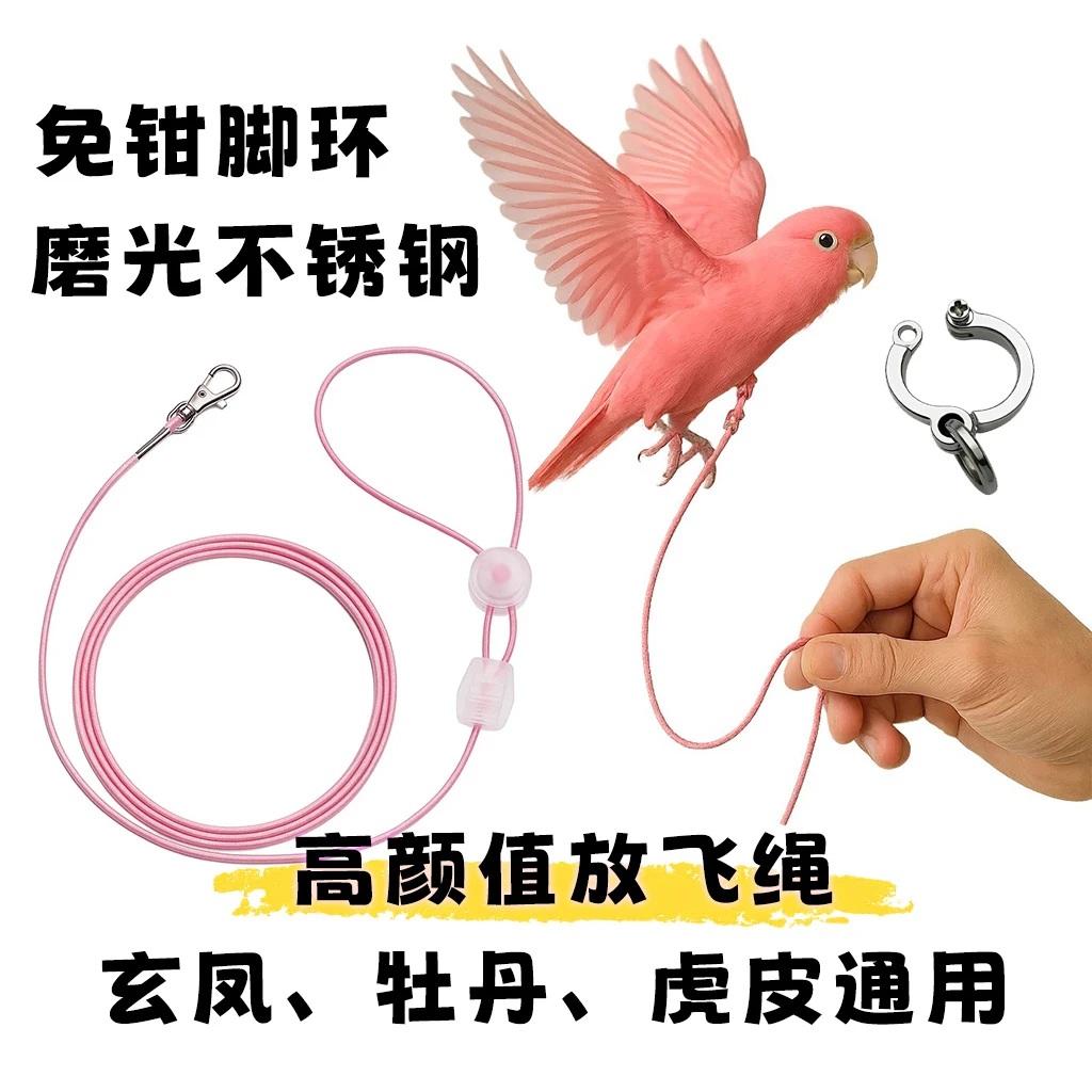 高颜值撞色简约鹦鹉放飞绳鸟绳不锈钢鹦鹉脚环鸟脚环安装方便快捷