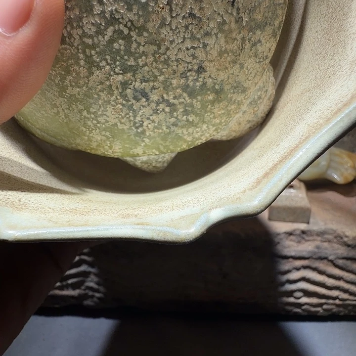 用***1呜呜呃呃呃呃呃呃呃呃呃