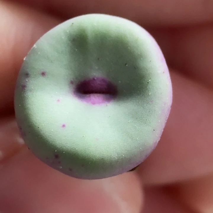 老马生石花se嘴1523