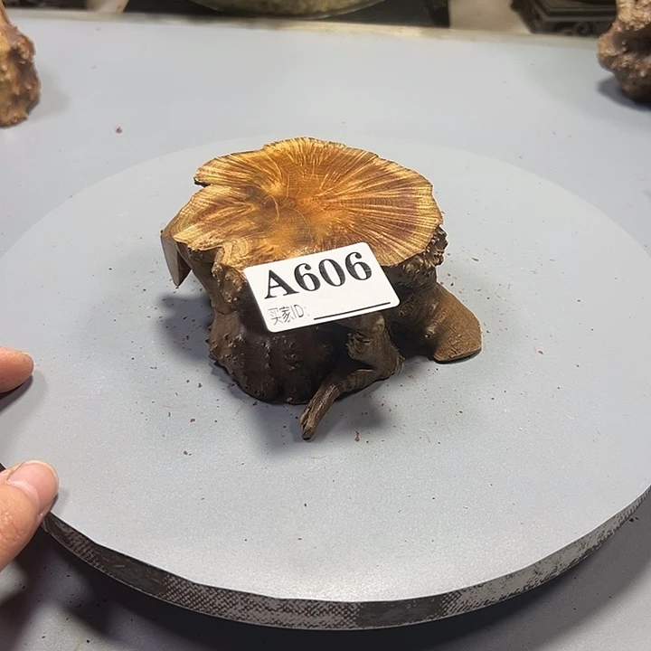 用***5大果紫檀（缅甸花梨）