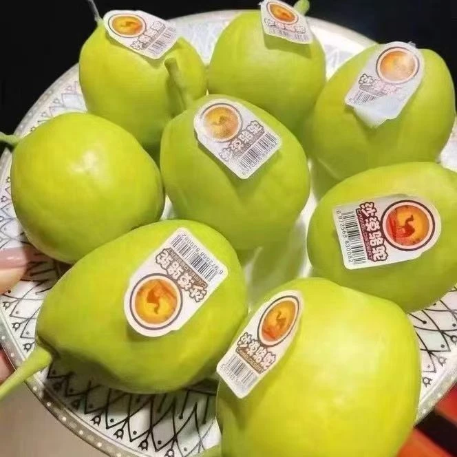 沙漠骆驼新疆库尔勒香梨4斤/净果【胖小仓果业】