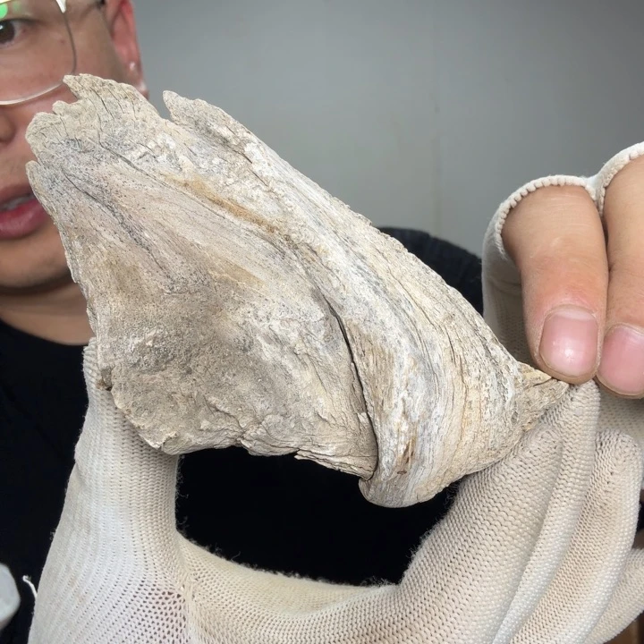 香榧木y****n艺术品摆件精品