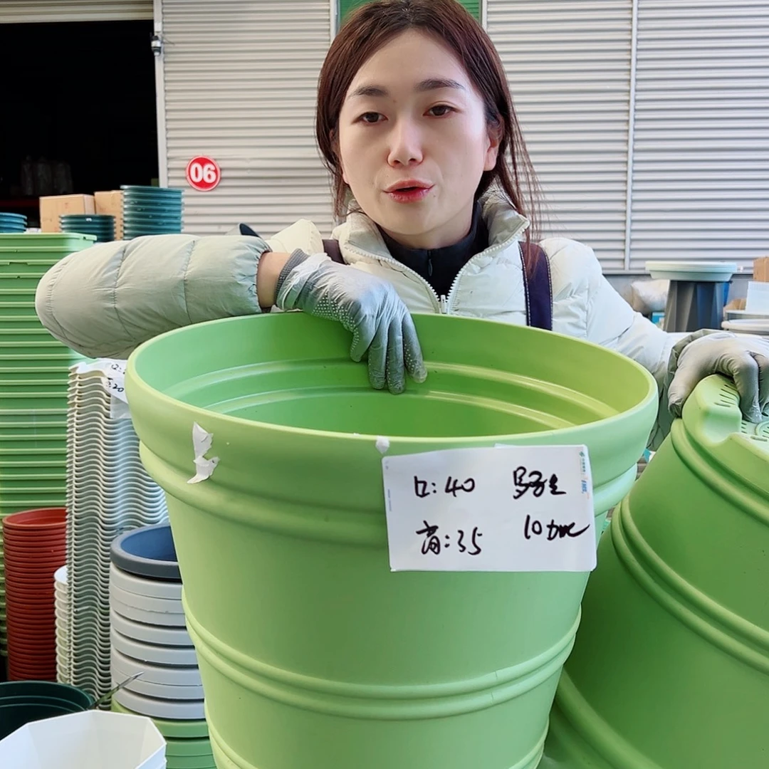 瑕疵罗马盆小号果绿3个无托