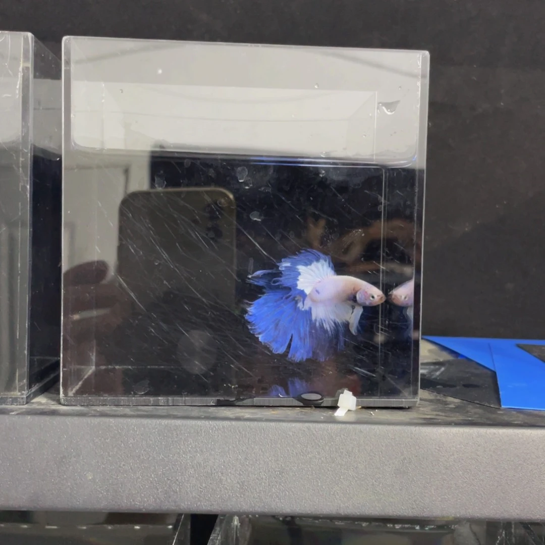 海水哈哈哈哈哈哈哈