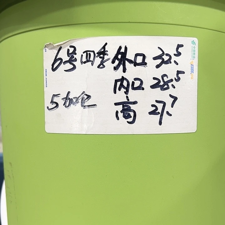 特价6号口32.5高27白色7只无托