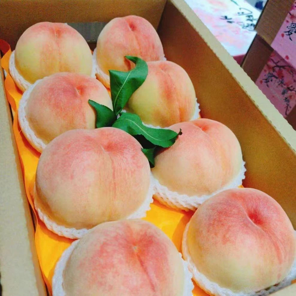 无锡水蜜桃 【箱/5-6斤左右】【仅限大同平城区云冈区可拍】