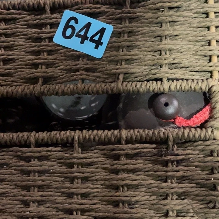 G***味手串/手链贝壳民俗文化研究中心