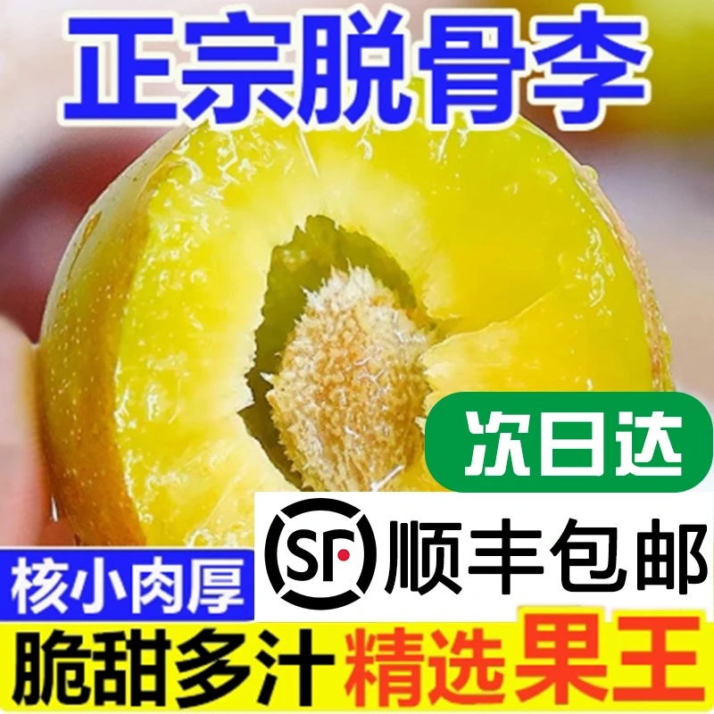 正宗高山脱骨李青脆李巫山脆李新鲜应季水果脆甜脱骨川渝现摘现发四川省