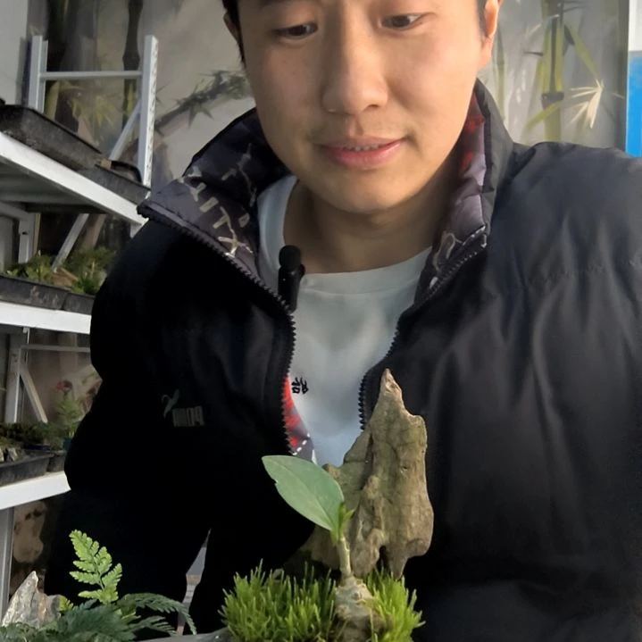 就*我小盆景小植物一物一拍210