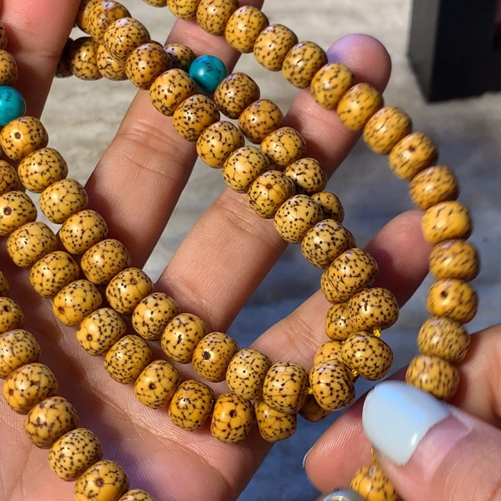 哈哈哈哈哈哈哈哈哈哈姐