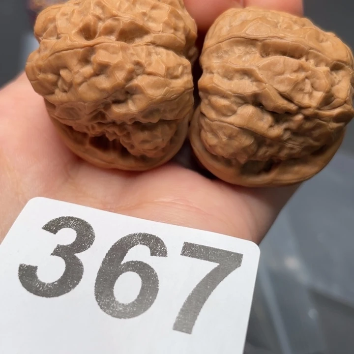 把件文玩核桃粗筋满肉35.5 38 30
