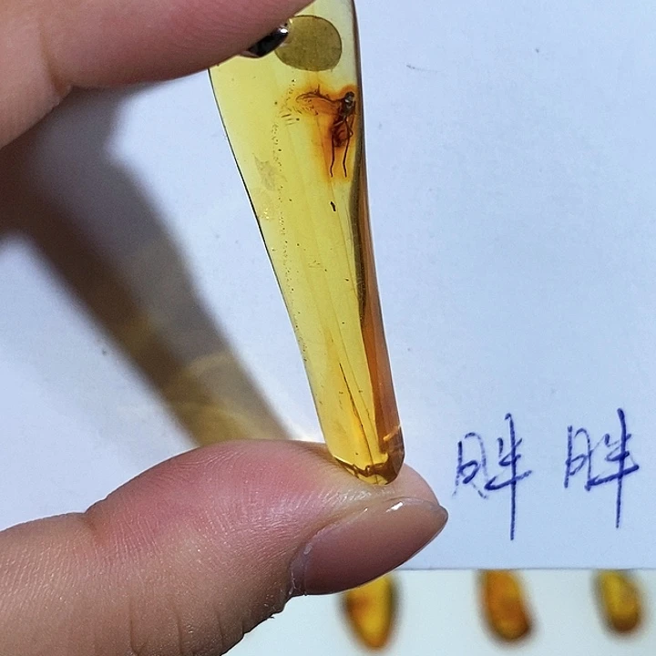 未镶嵌颈饰琥珀虫珀吊坠