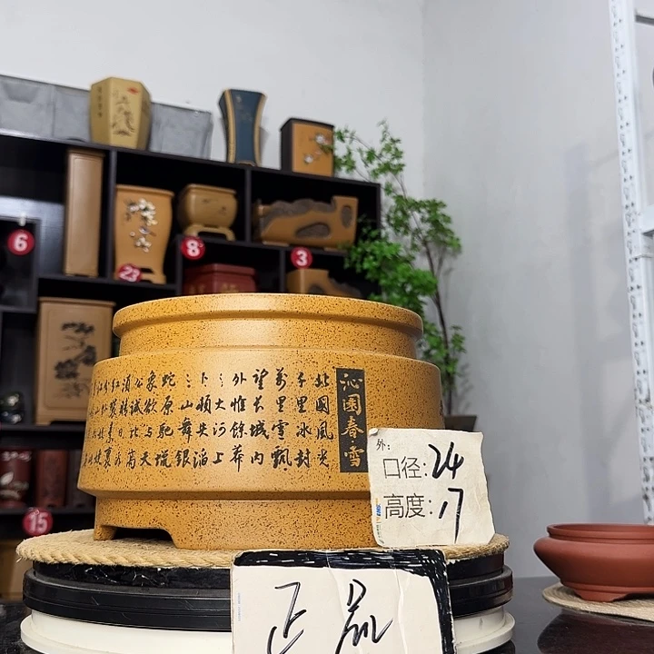 紫砂花盆盆友记紫砂