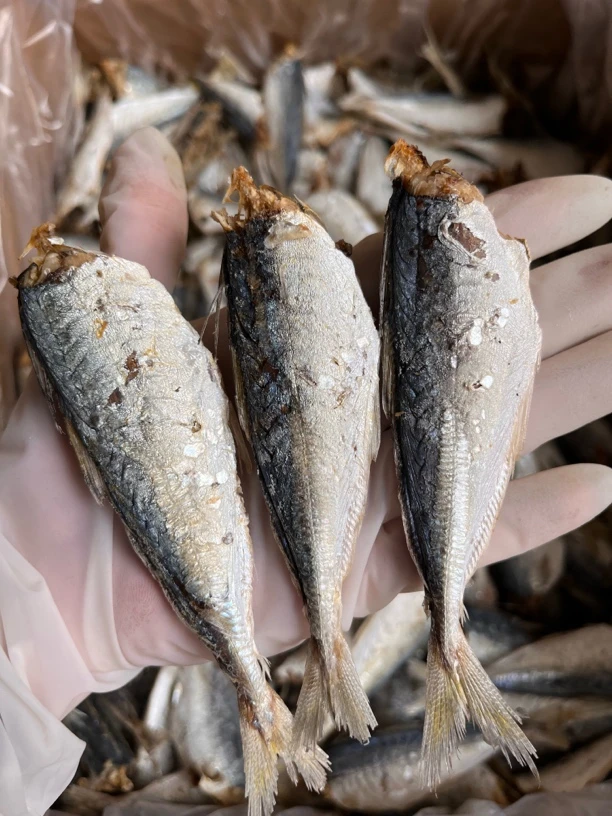 汕尾海味无头巴浪干