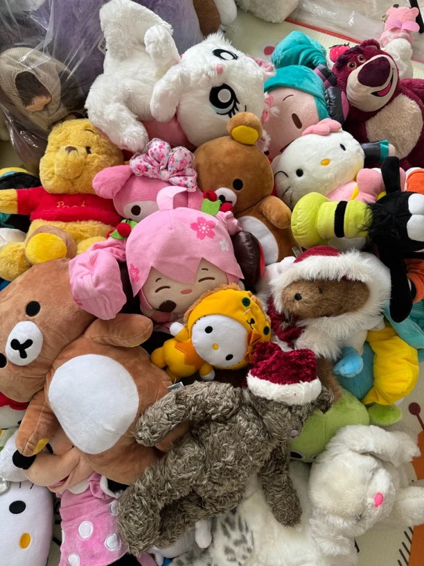 【3-50】中古毛绒玩具杂款清仓