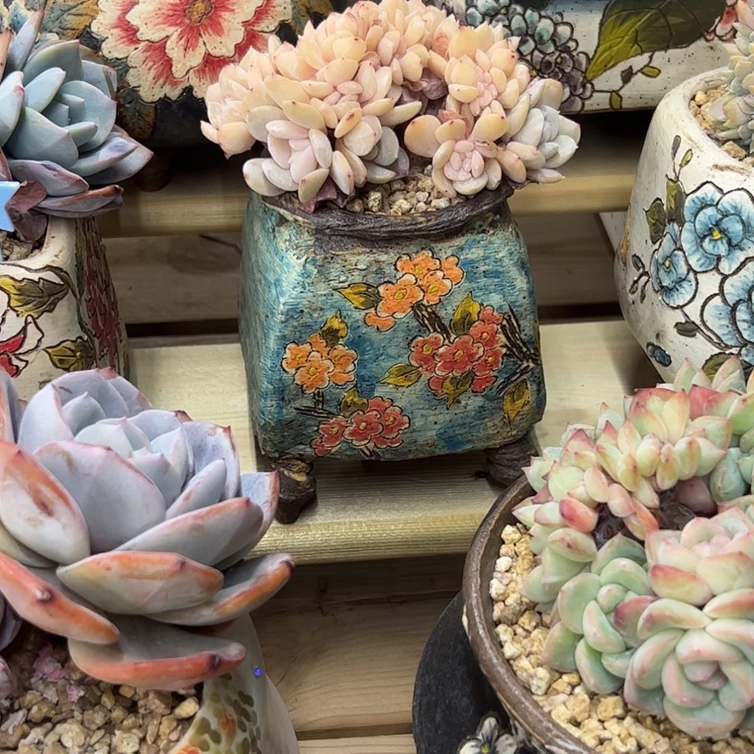 孔孔姐专拍大米盆zzz