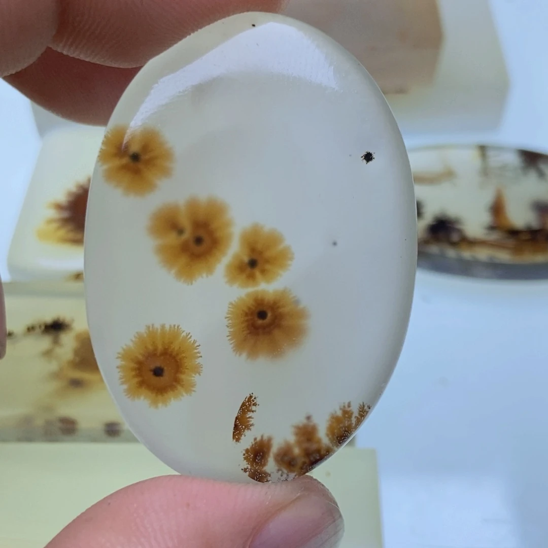 【闪购商品】合金颈饰玛瑙/玉髓盛