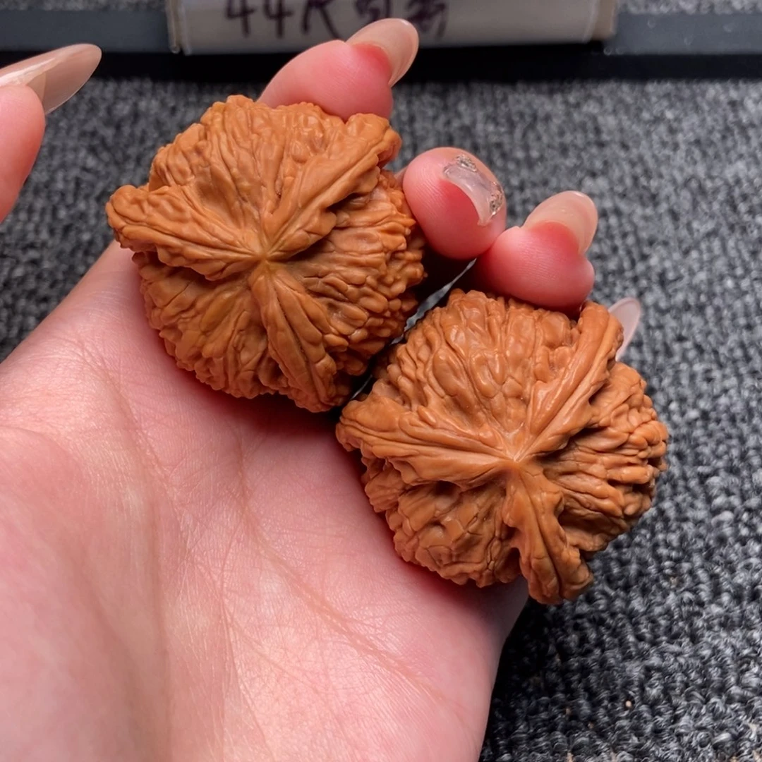 小***花木质类白狮子正奔