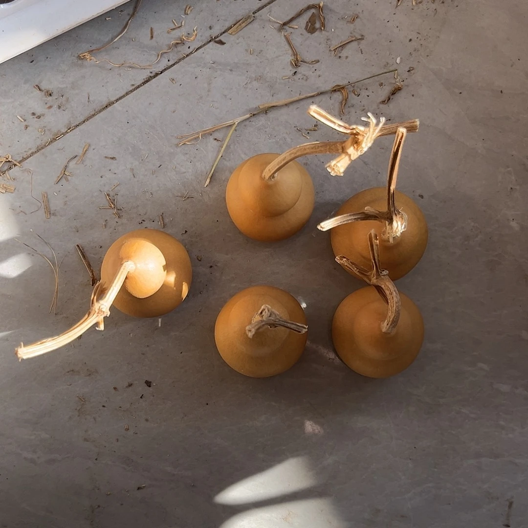 小美胖墩通货五个不退不换