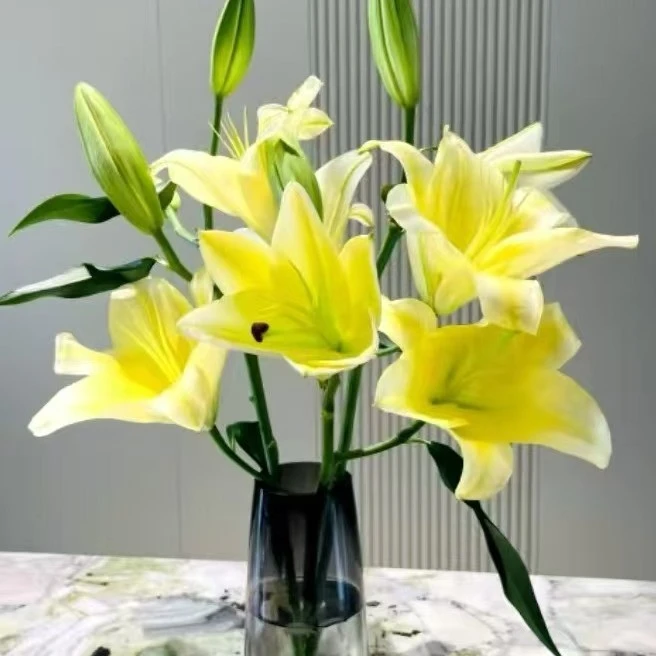 黄天霸香水白合（（6朵）鲜花顺丰包邮今天下单明天送达不含花瓶