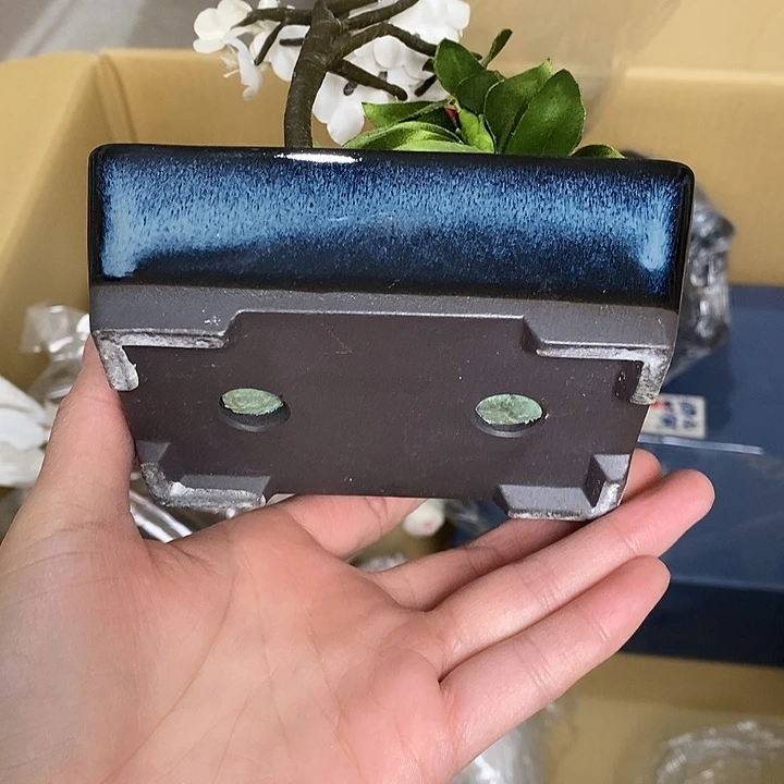 新货到，超级大漂亮b116