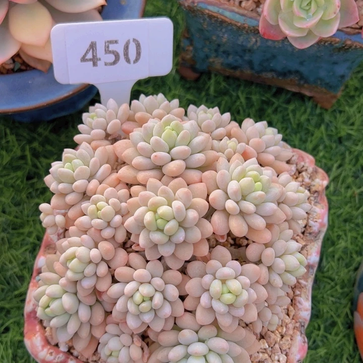 健健康康平平安安