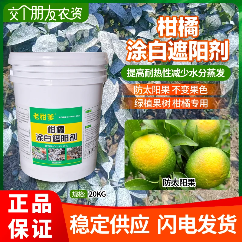 柑橘防晒剂防太阳果防日灼裂果柑橘果树防虫补钙防高温裂果涂白剂