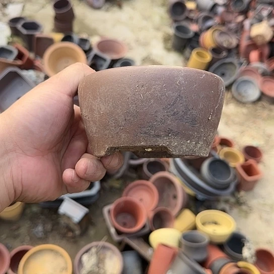 你就在家里待不着啦哈你