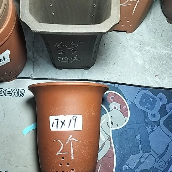 红泥小金钟两个花盆花泥