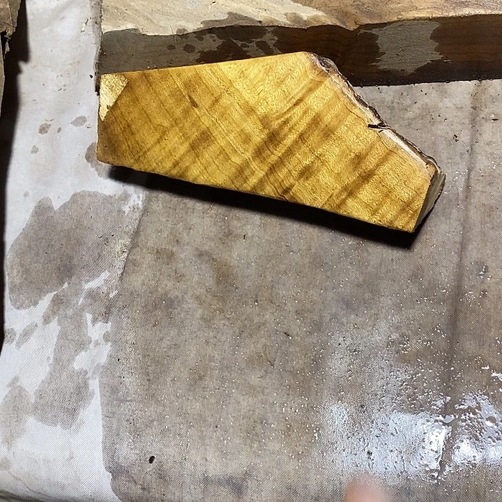 金丝楠木小叶桢楠木