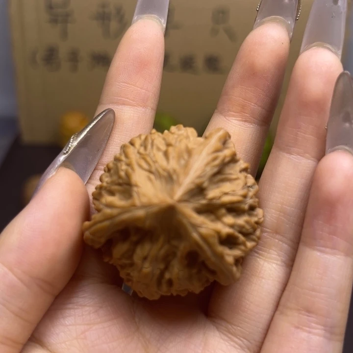 超***生菩提籽类御龙粗劲单只异型