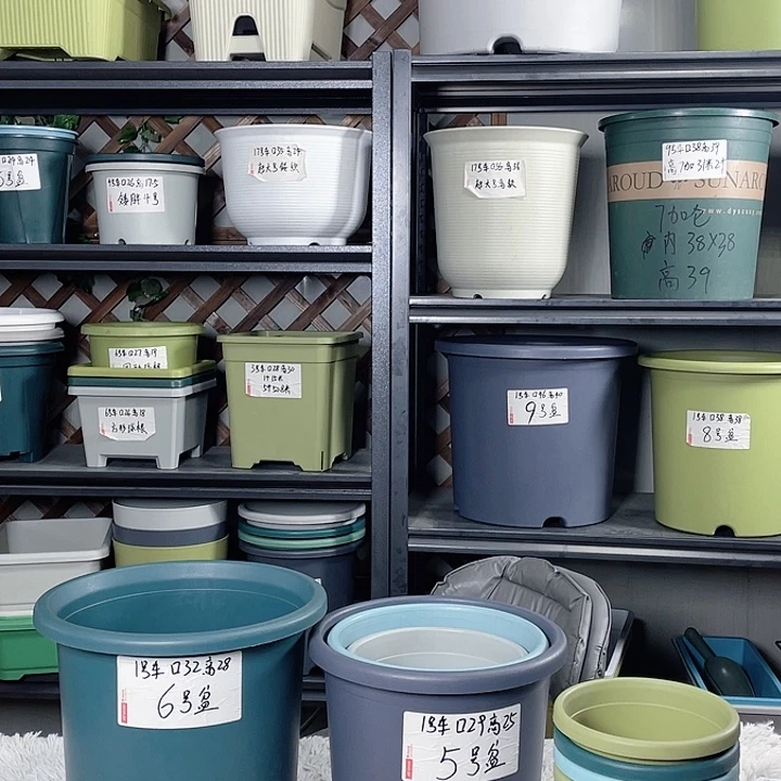 四季盆5号灰白色发4个 是好盆