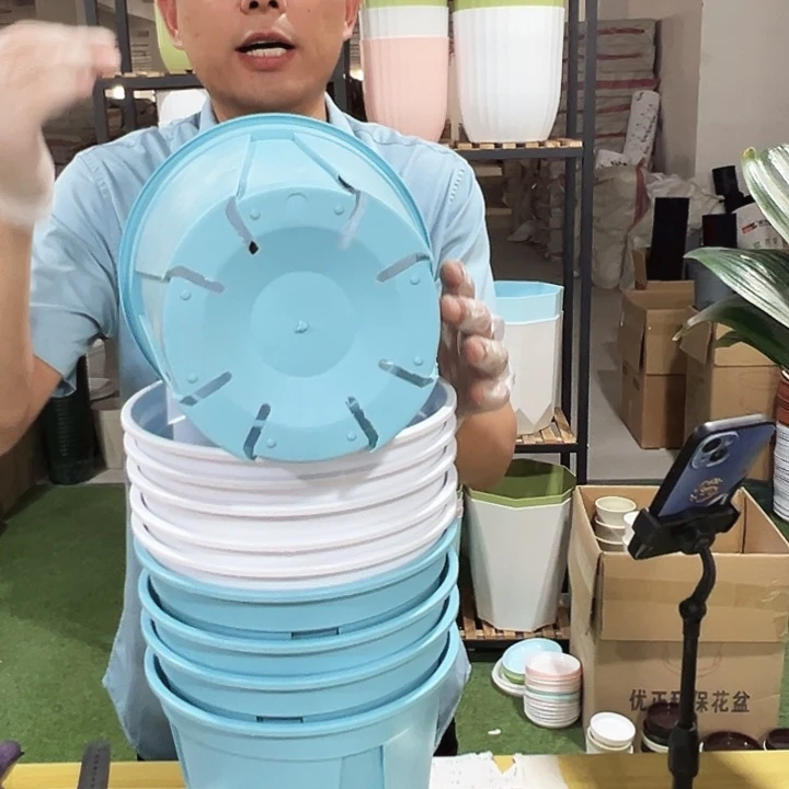 青山口21高21混色无托10只