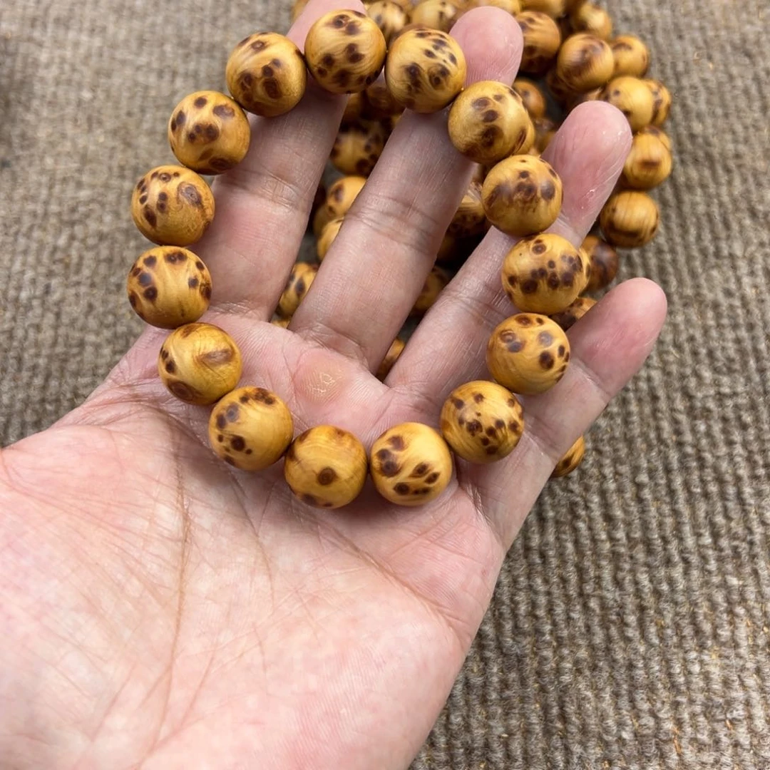 木太行崖柏1.5。。。。。。。。。