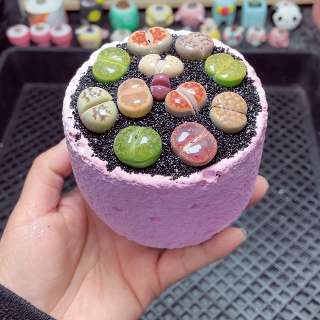 w3648 带盆土发货-零下地区拍保温箱