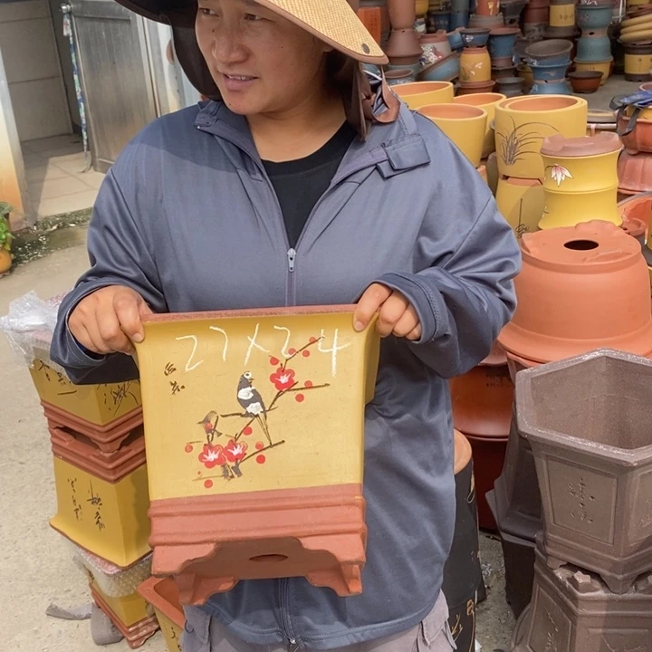 紫砂花盆盆栽花卉苗木种植