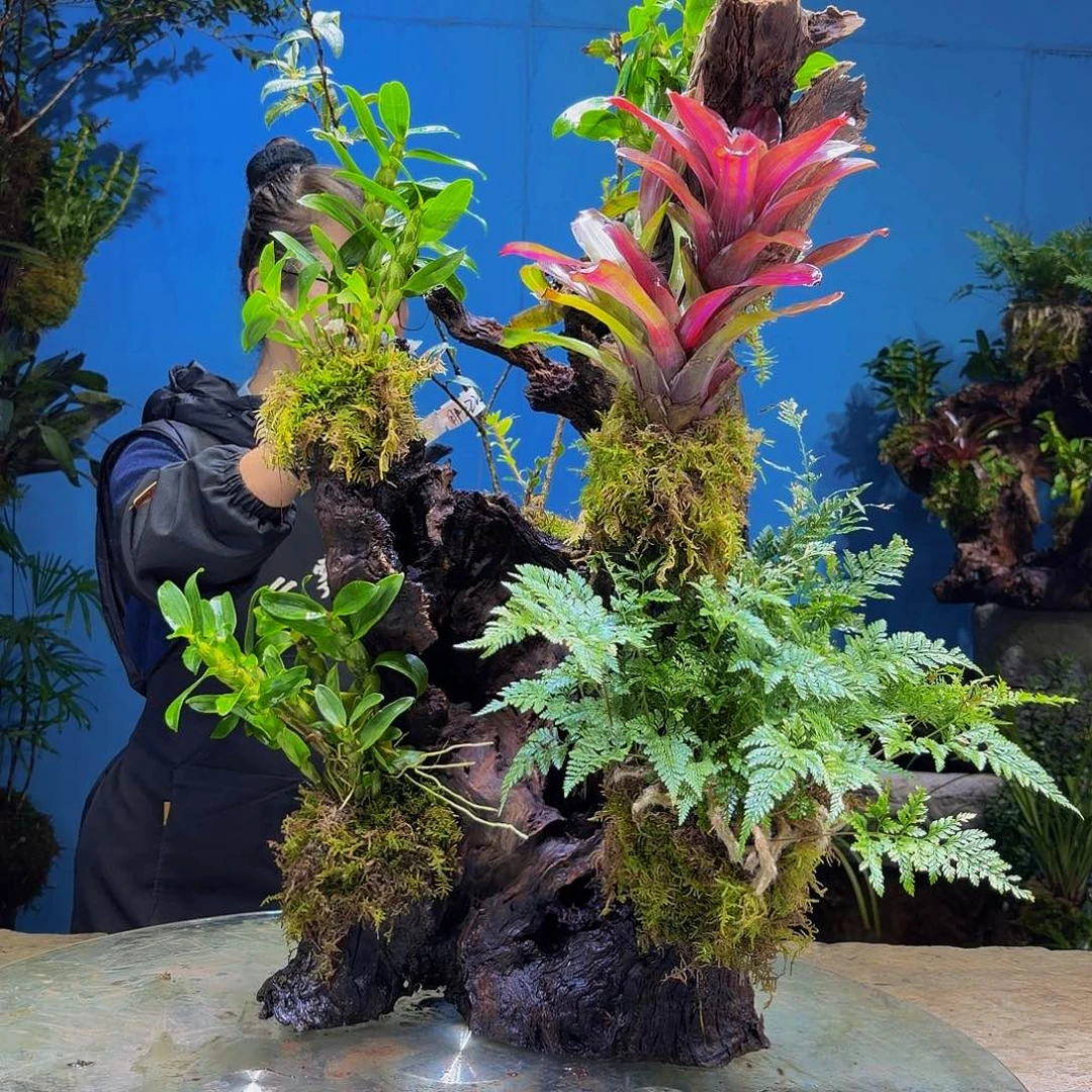 用***0无花朵1111111111111