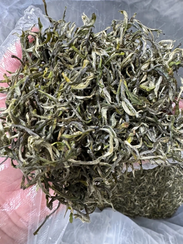 2025绿茶 头春头采 香甜可口